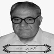 Dr. Masoud Emami